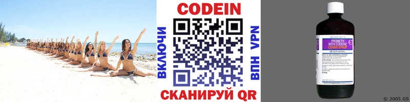 продажа наркотиков  Новоалександровск  Codein напиток Lean (лин) 