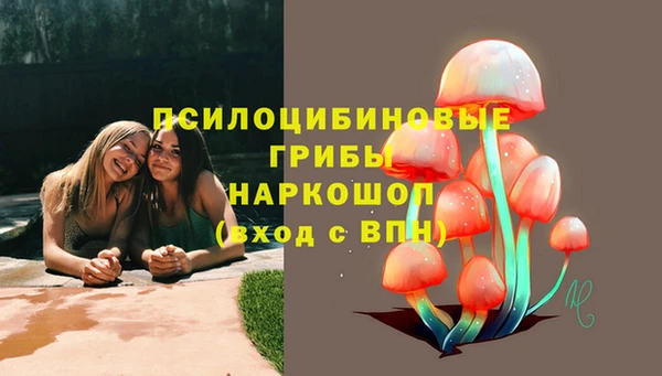 амфетамин Алексин