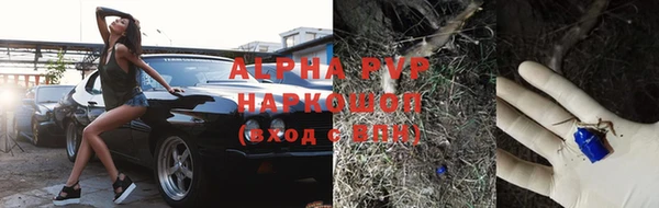 круглые Осинники
