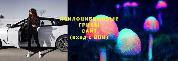 мяу мяу мука Абаза