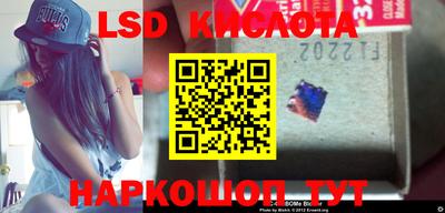 стаф Новодвинск