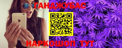 амф Гатчина