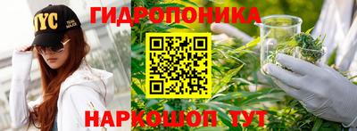 индика Новозыбков