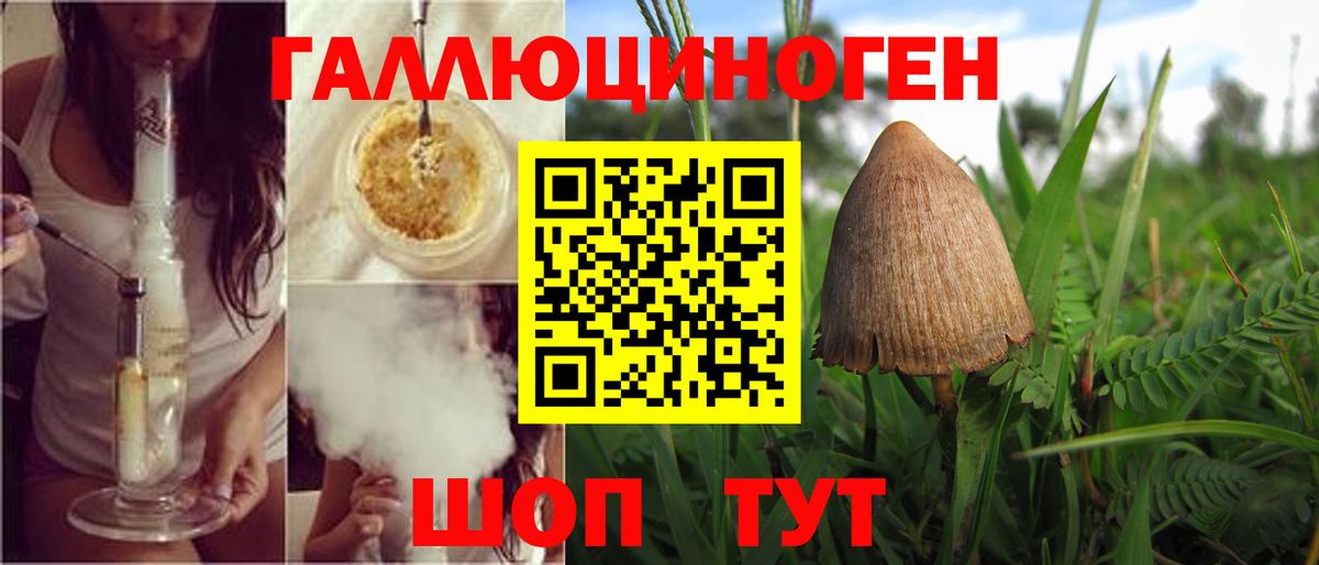 Новоалександровск  Галлюциногенные грибы мицелий  Вход с VPN 