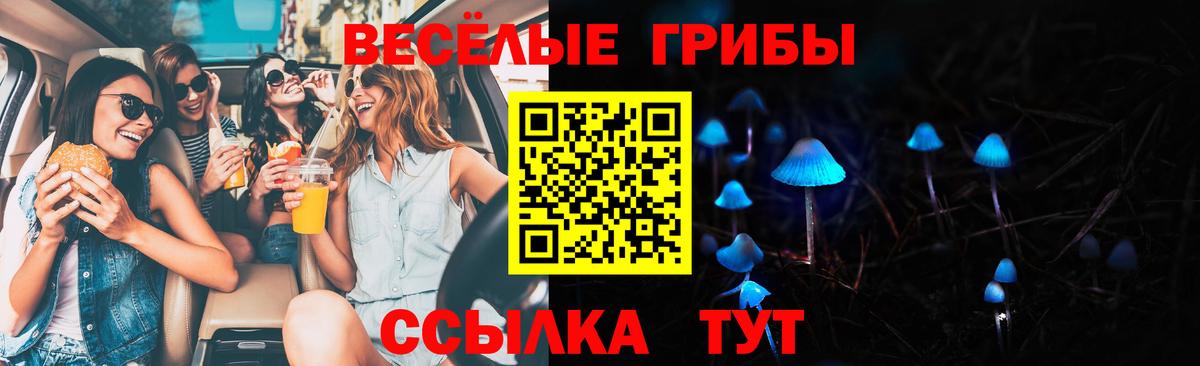Галлюциногенные грибы мицелий Новоалександровск